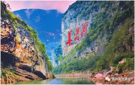 真臺(tái)酒 圖片