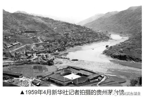 真臺(tái)酒 圖片
